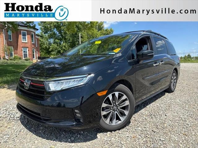 2022 Honda Odyssey for sale near Marysville, OH
