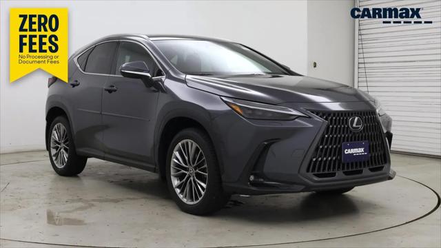 2025 Lexus NX 350 Luxury for sale in South Portland, ME