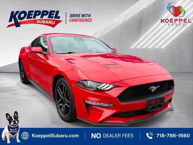 2022 Ford Mustang EcoBoost Fastback for sale in Long Island City, NY