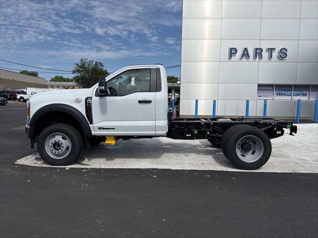 2026 Ford 600 XLT