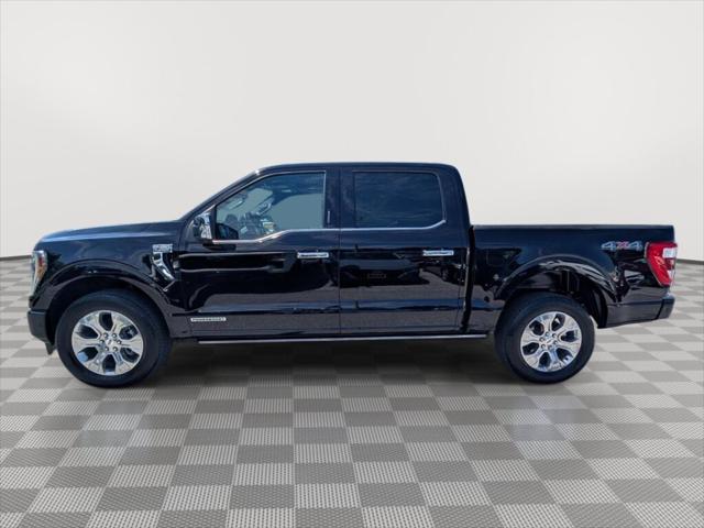 2023 Ford F-150 Platinum 2023 Ford F-150 Platinum