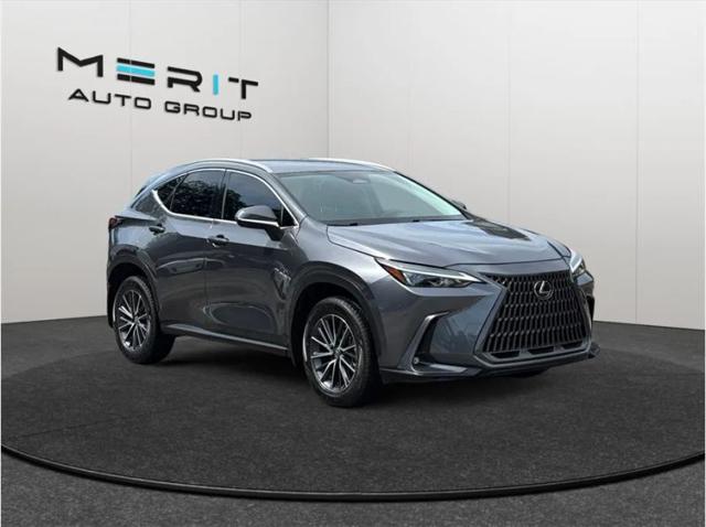 2022 Lexus NX 250 for sale in Jacksonville, FL