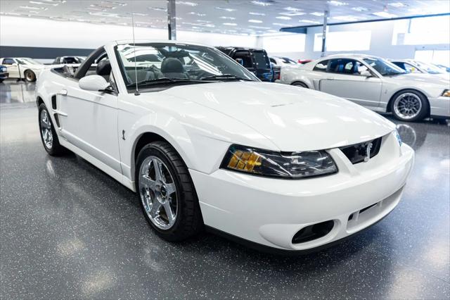 2004 Ford Mustang Cobra
