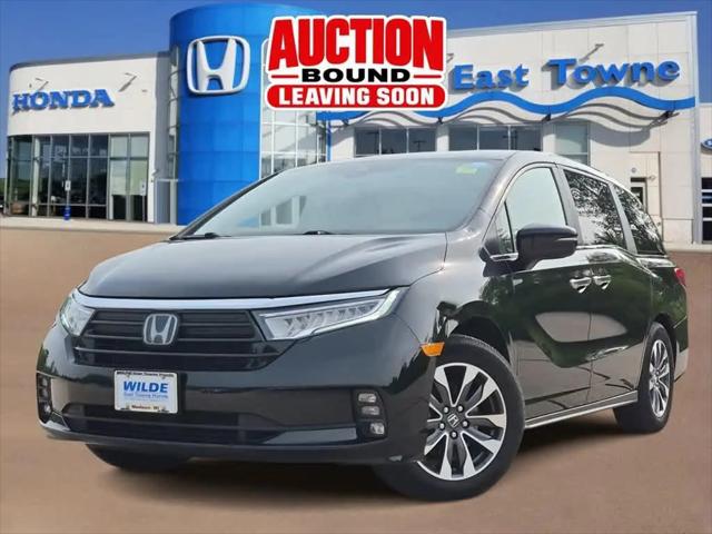 2024 Honda Odyssey EX-L for sale in Madison, WI