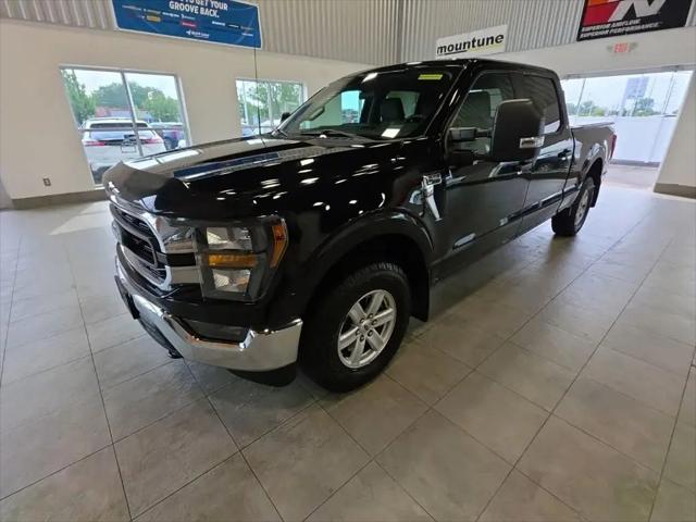 2023 Ford F-150 XLT for sale in Sterling Heights, MI