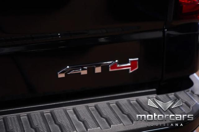 2021 GMC Sierra 1500 4WD Crew Cab Short Box AT4