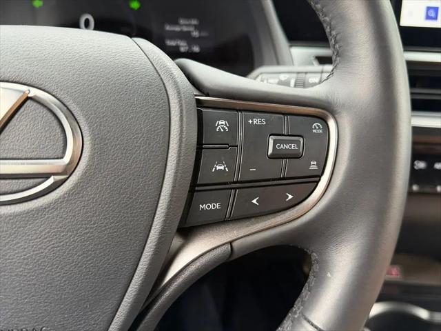 2025 Lexus 300 Premium