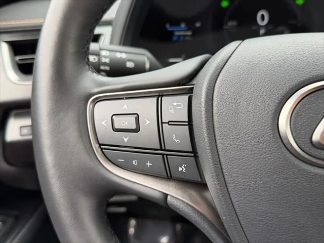 2025 Lexus 300 Premium