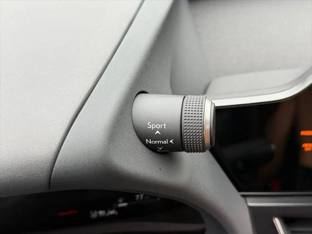 2025 Lexus 300 Premium
