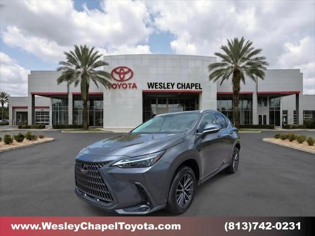2024 Lexus NX Premium for sale in Wesley Chapel, FL