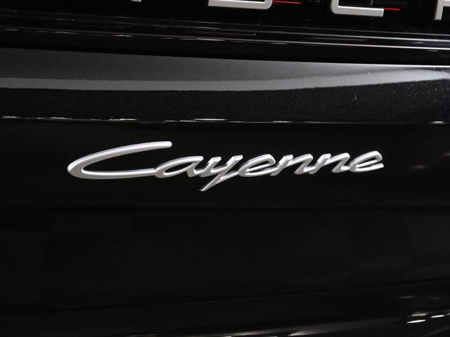 2026 Porsche Cayenne Unknown