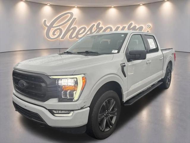 2023 Ford F-150 XLT for sale in Sidney, OH