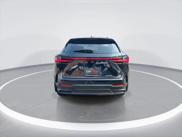 2024 Lexus NX Premium