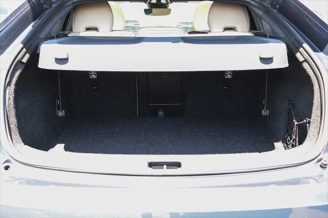 2021 Polestar 2 Launch Edition