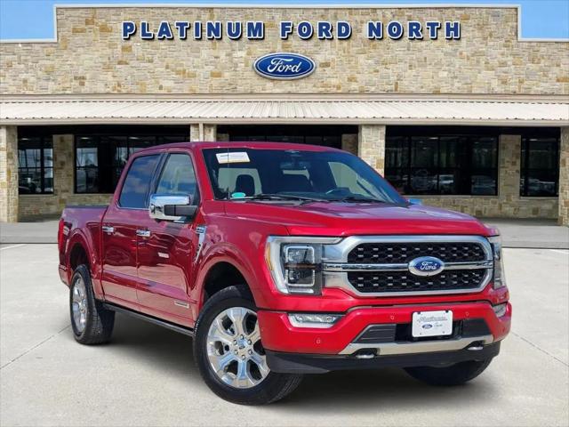 2023 Ford F-150 Platinum for sale in Denison, TX
