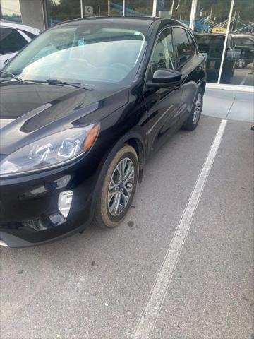 2022 Ford Escape SEL Hybrid for sale in Knoxville, TN