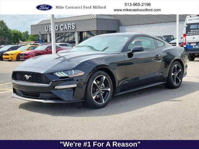 2020 Ford Mustang EcoBoost Fastback for sale near Milford, OH