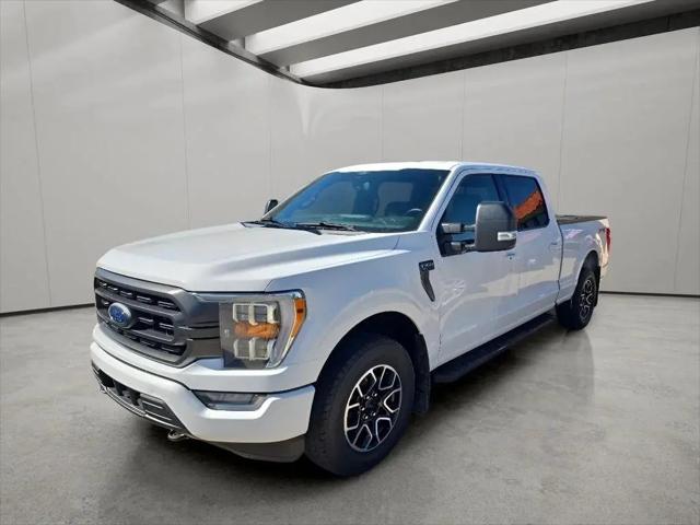 2021 Ford F-150 Tremor for sale in Loveland, CO