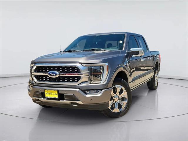 2021 Ford F-150 Platinum for sale in Houston, TX