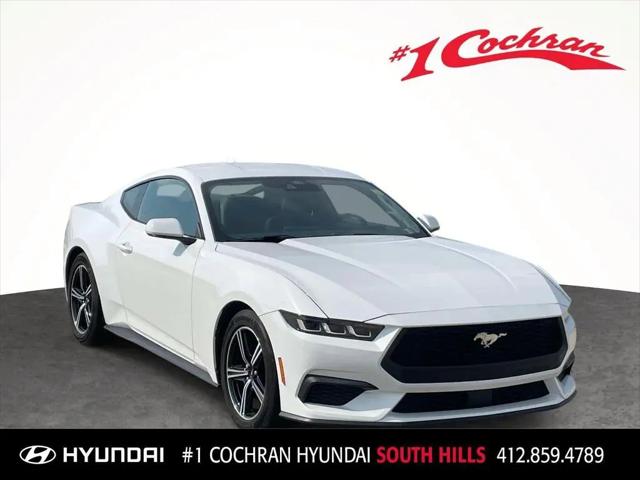 2024 Ford Mustang EcoBoost Fastback for sale in Pittsburgh, PA