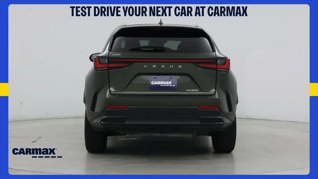 2024 Lexus NX NX 250