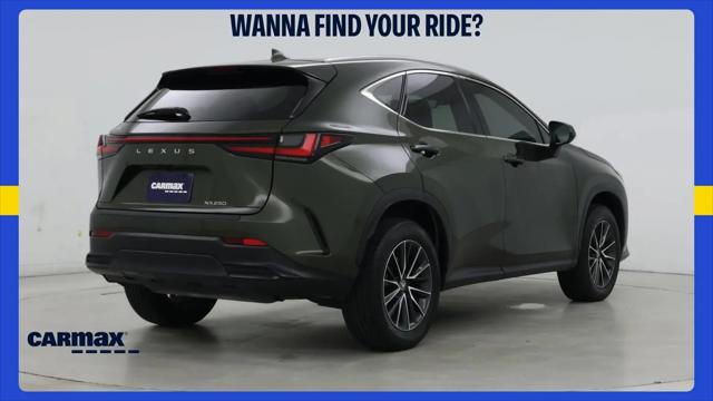 2024 Lexus NX NX 250