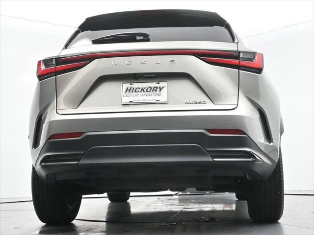 2022 Lexus NX NX 250
