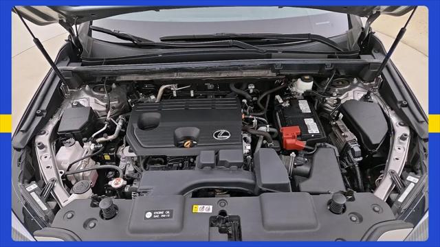 2024 Lexus NX NX 250