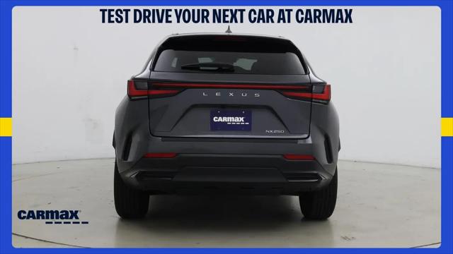 2024 Lexus NX Premium