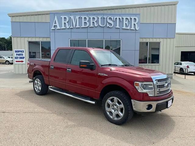 2014 Ford F-150 XLT for sale in FALLS CITY, NE