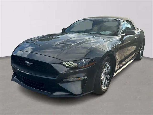 2019 Ford Mustang EcoBoost for sale near Eaton, OH