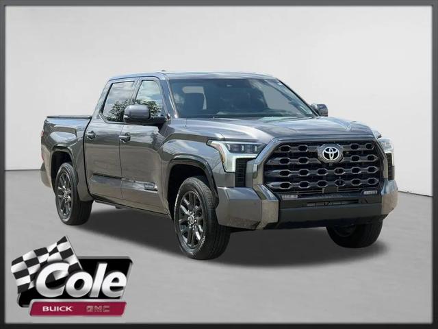 2023 Toyota Tundra Platinum for sale in Portage, MI
