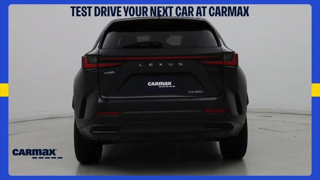 2025 Lexus NX NX 250