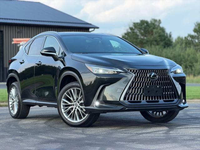 2025 Lexus NX 350h Premium for sale in Elk River, MN