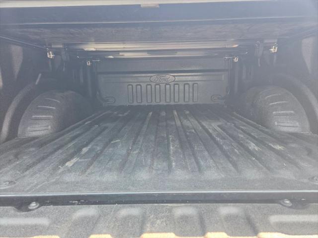 2021 Ford F-250 Platinum