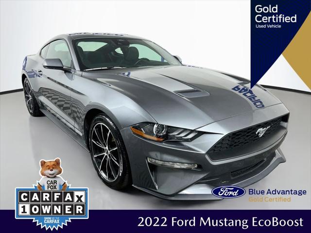 2022 Ford Mustang EcoBoost Fastback for sale in Philadelphia, PA