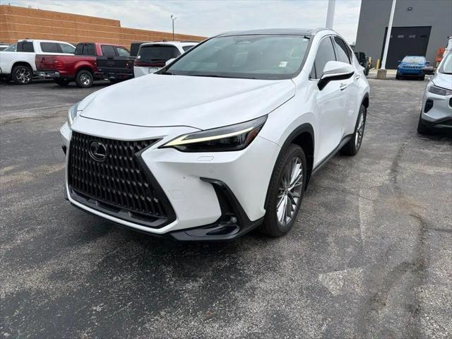 2024 Lexus NX 350 Luxury for sale in Greencastle, IN