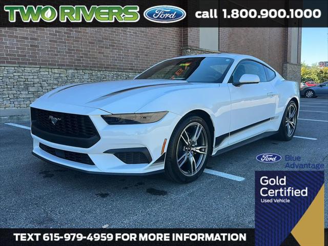 2025 Ford Mustang EcoBoost Fastback for sale in Mount Juliet, TN