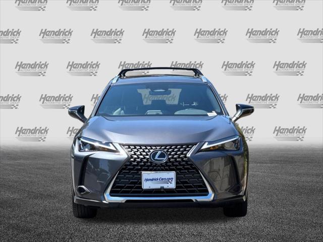 2025 Lexus 300 300h