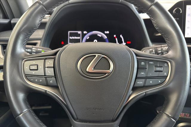 2025 Lexus 300 300h