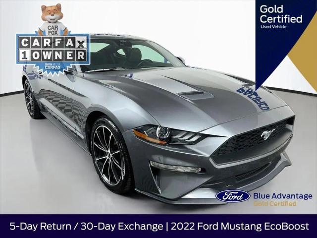 2022 Ford Mustang EcoBoost Fastback for sale in Philadelphia, PA