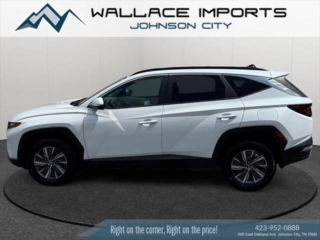2024 Hyundai Tucson Hybrid Blue for sale in Johnson City, TN
