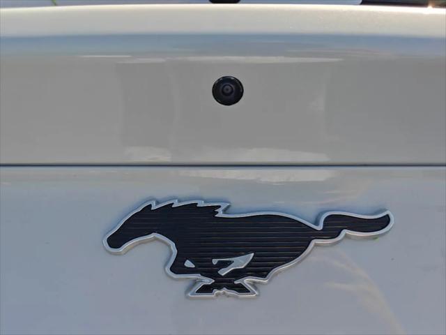 2022 Ford Mustang Mach-E Select