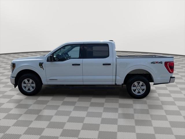 2023 Ford F-150 XLT 2023 Ford F-150 XLT