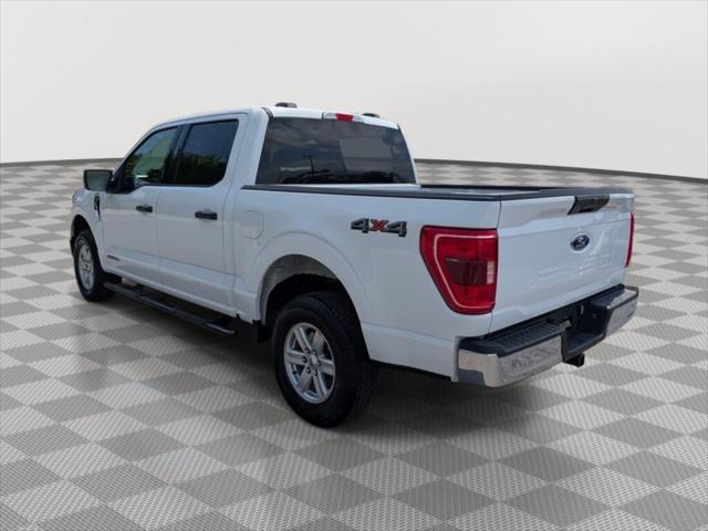 2023 Ford F-150 XLT 2023 Ford F-150 XLT