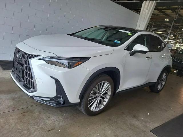 2024 Lexus NX 350 Luxury for sale in Golden Valley, MN