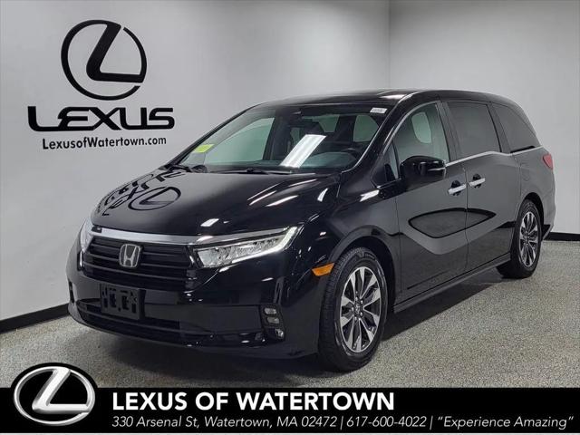 2024 Honda Odyssey EX-L for sale in Watertown, MA