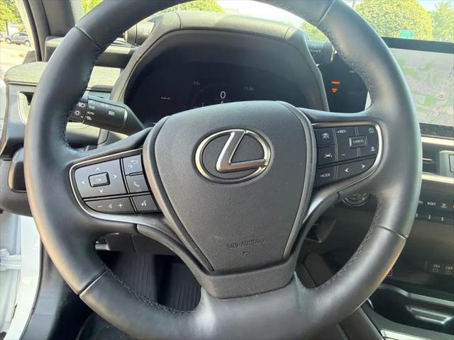 2025 Lexus 300 Premium