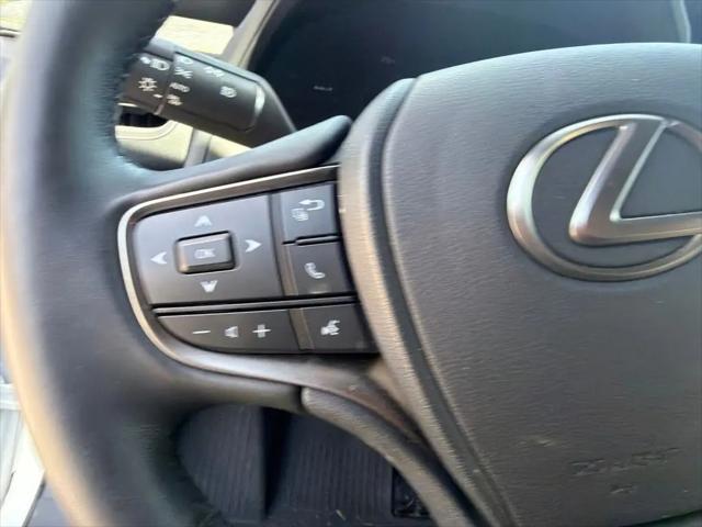 2025 Lexus 300 Premium