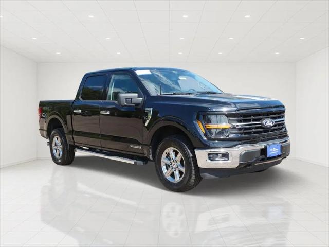 2024 Ford F-150 XLT for sale in White Bear Lake, MN